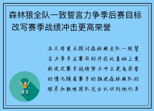 森林狼全队一致誓言力争季后赛目标 改写赛季战绩冲击更高荣誉