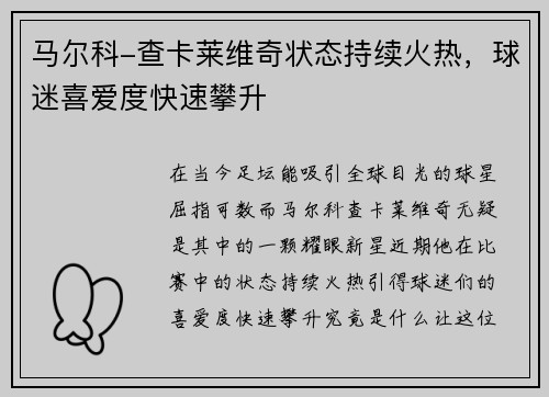 马尔科-查卡莱维奇状态持续火热，球迷喜爱度快速攀升